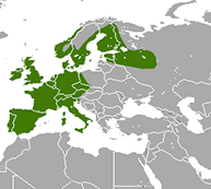 European hedgehogs are native to the areas in Europe shown in green. Image via Wikimedia Commons.