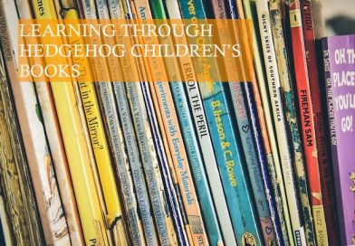 Learning Through Hedgehog Children's Book Photo by Robyn Budlenderr on Unsplash